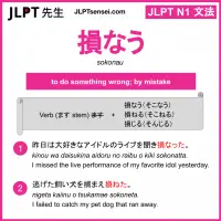 sokonau 損なう そこなう jlpt n1 grammar meaning 文法 例文 learn japanese flashcards