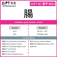 824 腸 kanji meaning JLPT N1 Kanji Flashcard