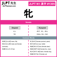 1305 牝 kanji meaning JLPT N1 Kanji Flashcard